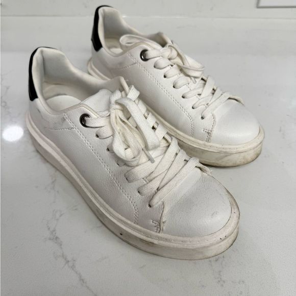Steve Madden Women's Spectator Low-Top Trainers | Sports Direct
